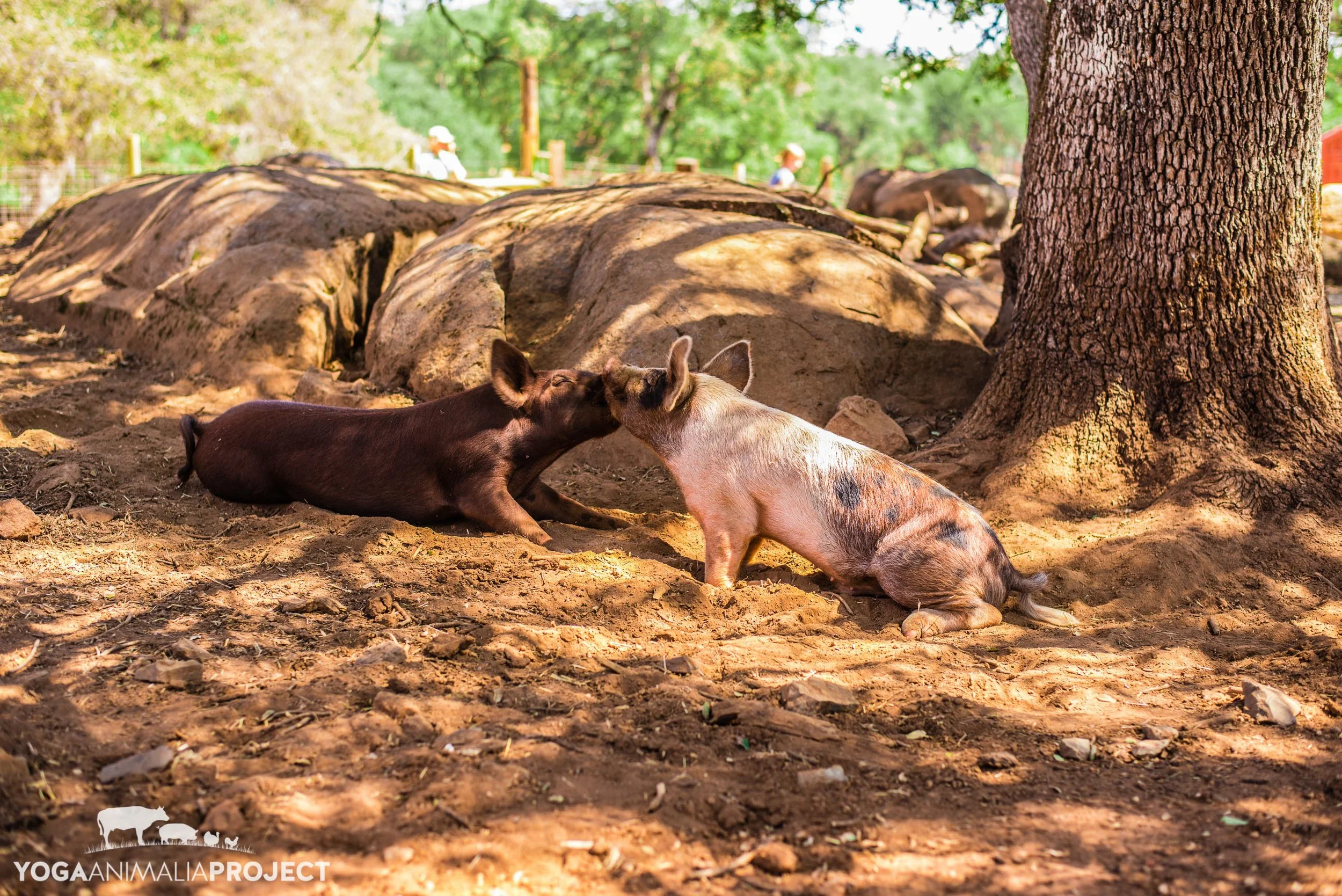 Georgina & Rudy 8-30-14.jpg