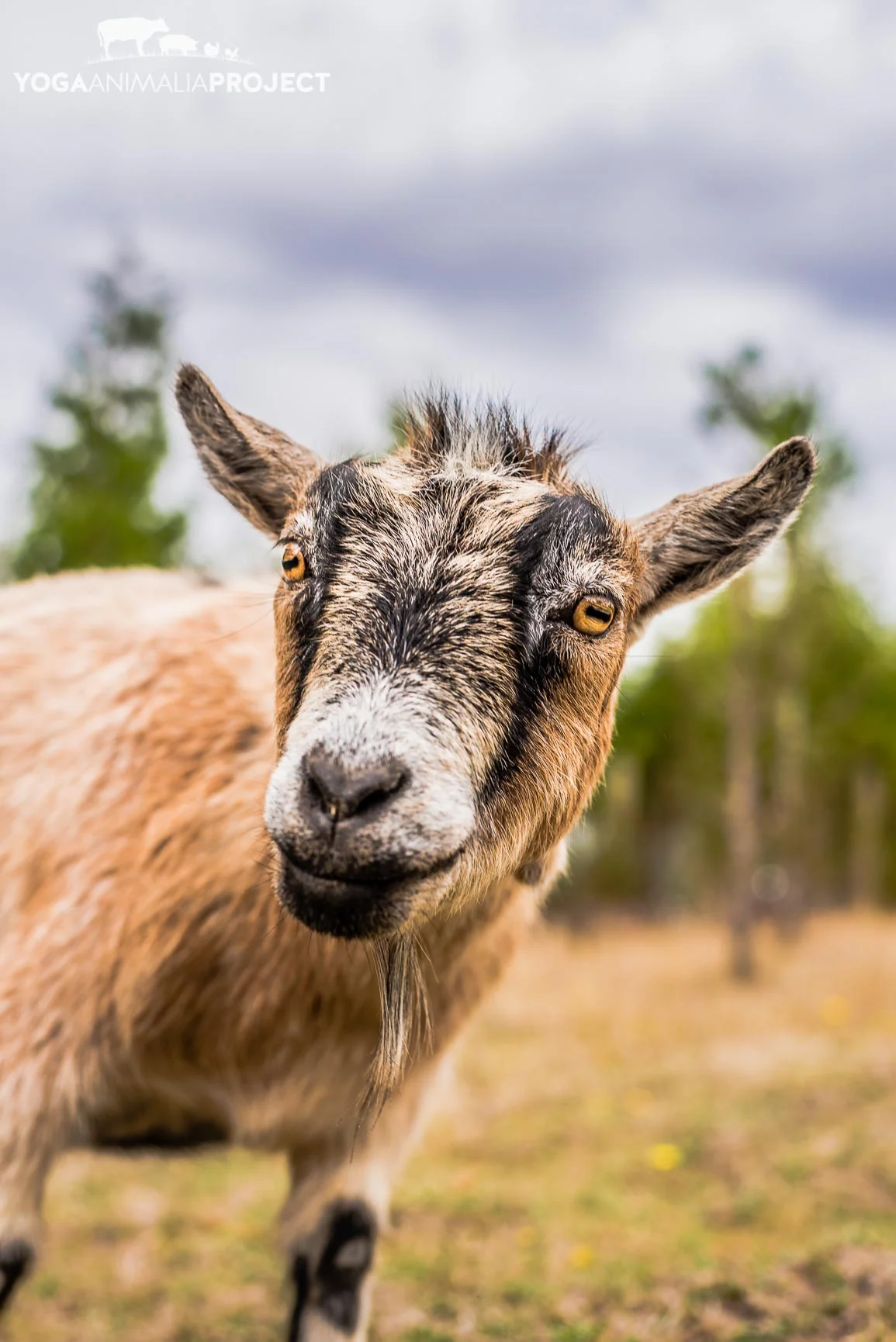Fauna 9-23-14 (1).jpg