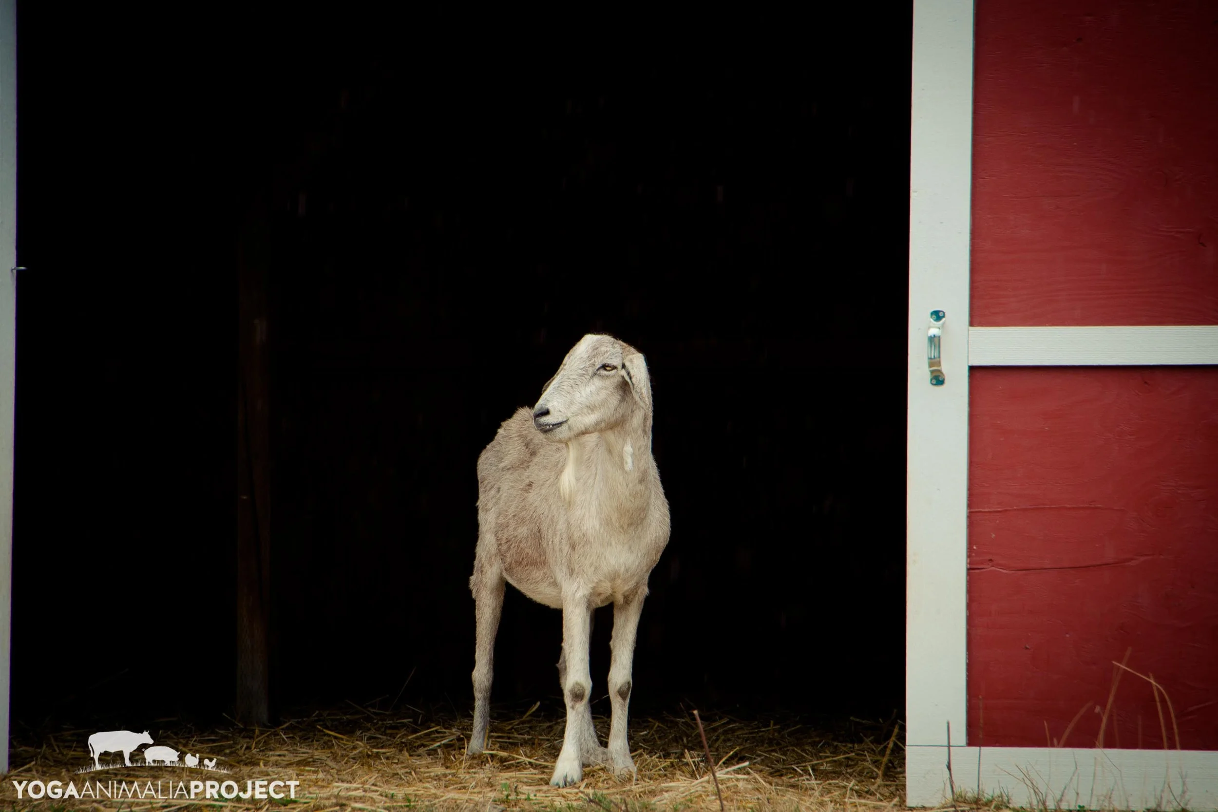Fred 9-23-14 (3).jpg