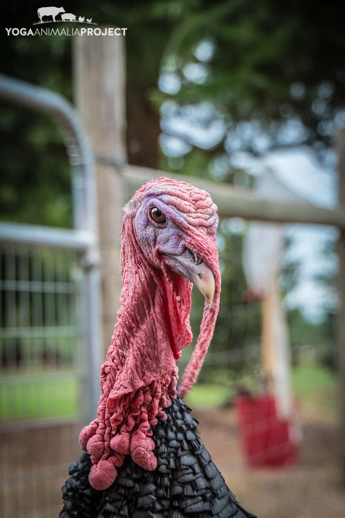 Mr. Watson 9-23-14.jpg