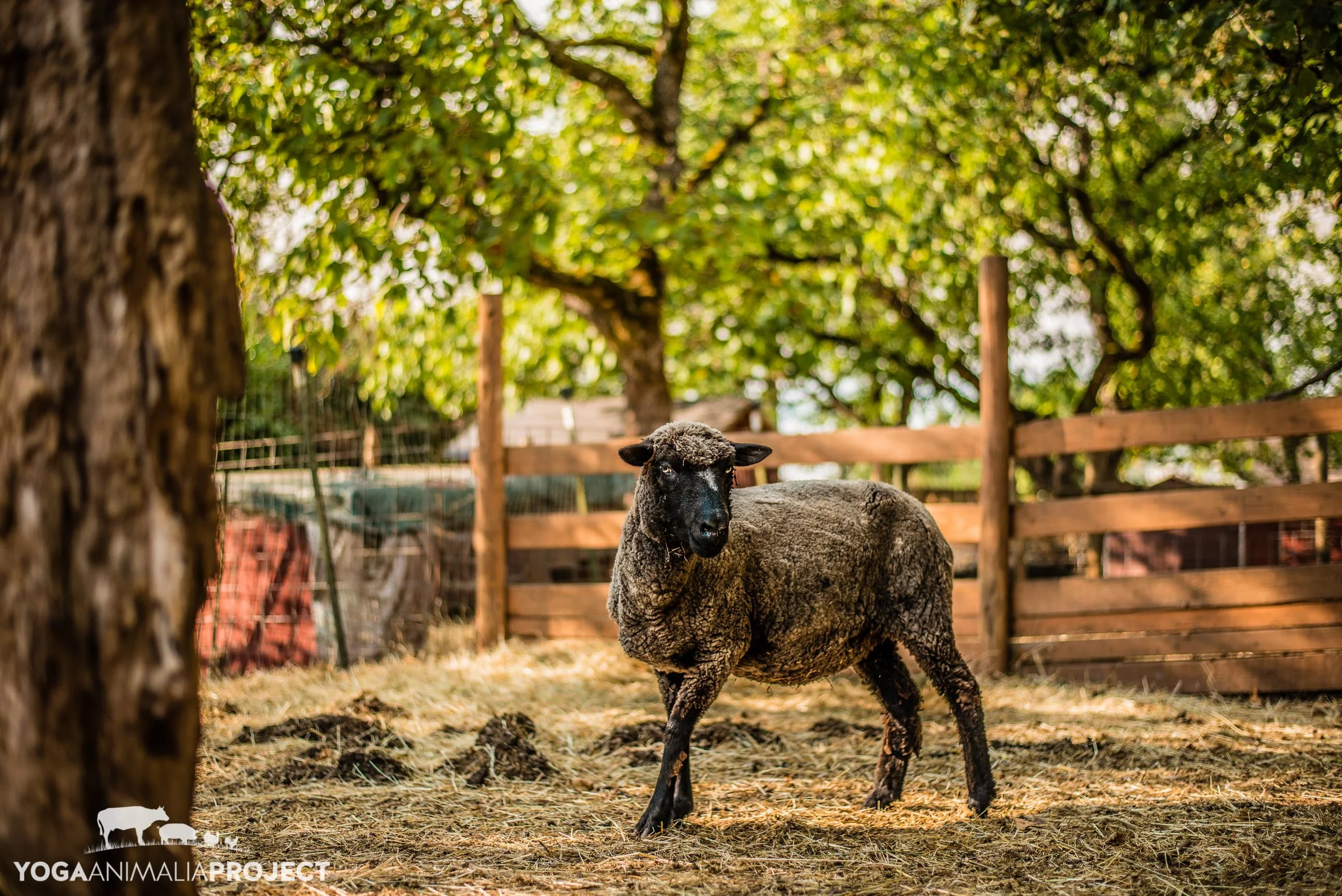 Martha 9-20-14.jpg