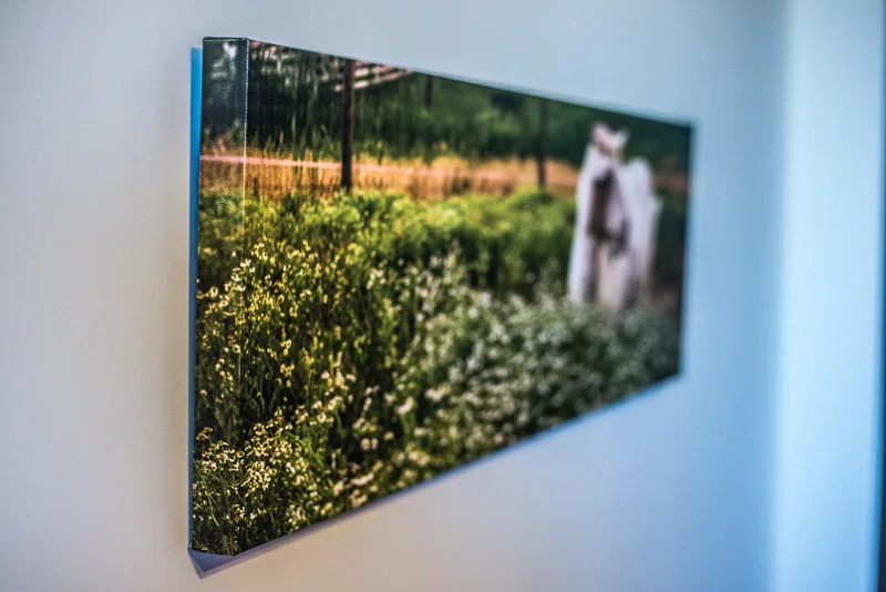 Canvas Print-3.jpg