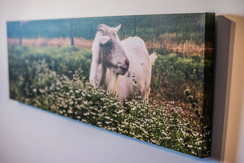 Canvas Print-2.jpg