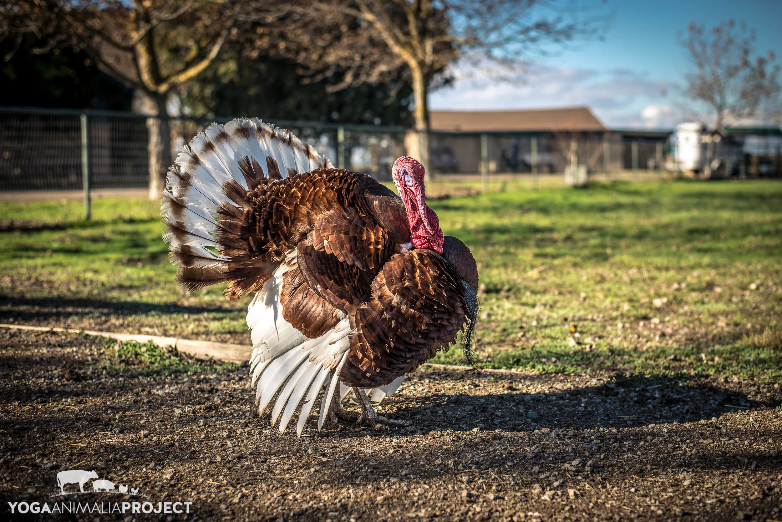 Kima 12-4-14 (1).jpg