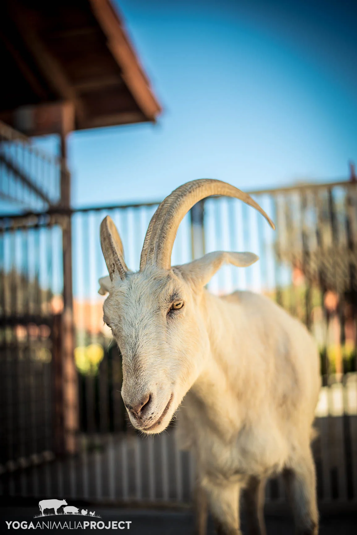 Prince 2-9-15.jpg