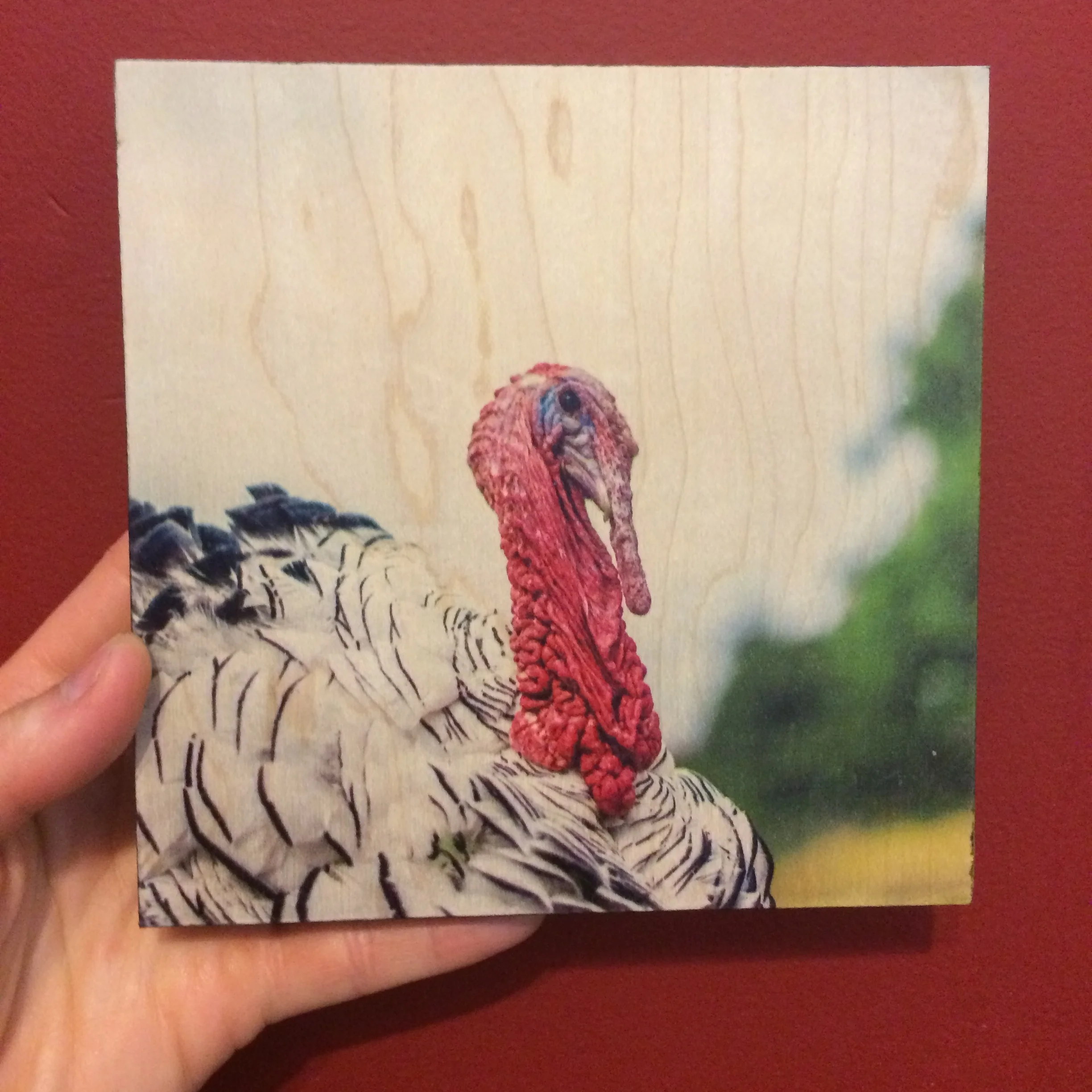Product Pics 10-15-14-12.JPG