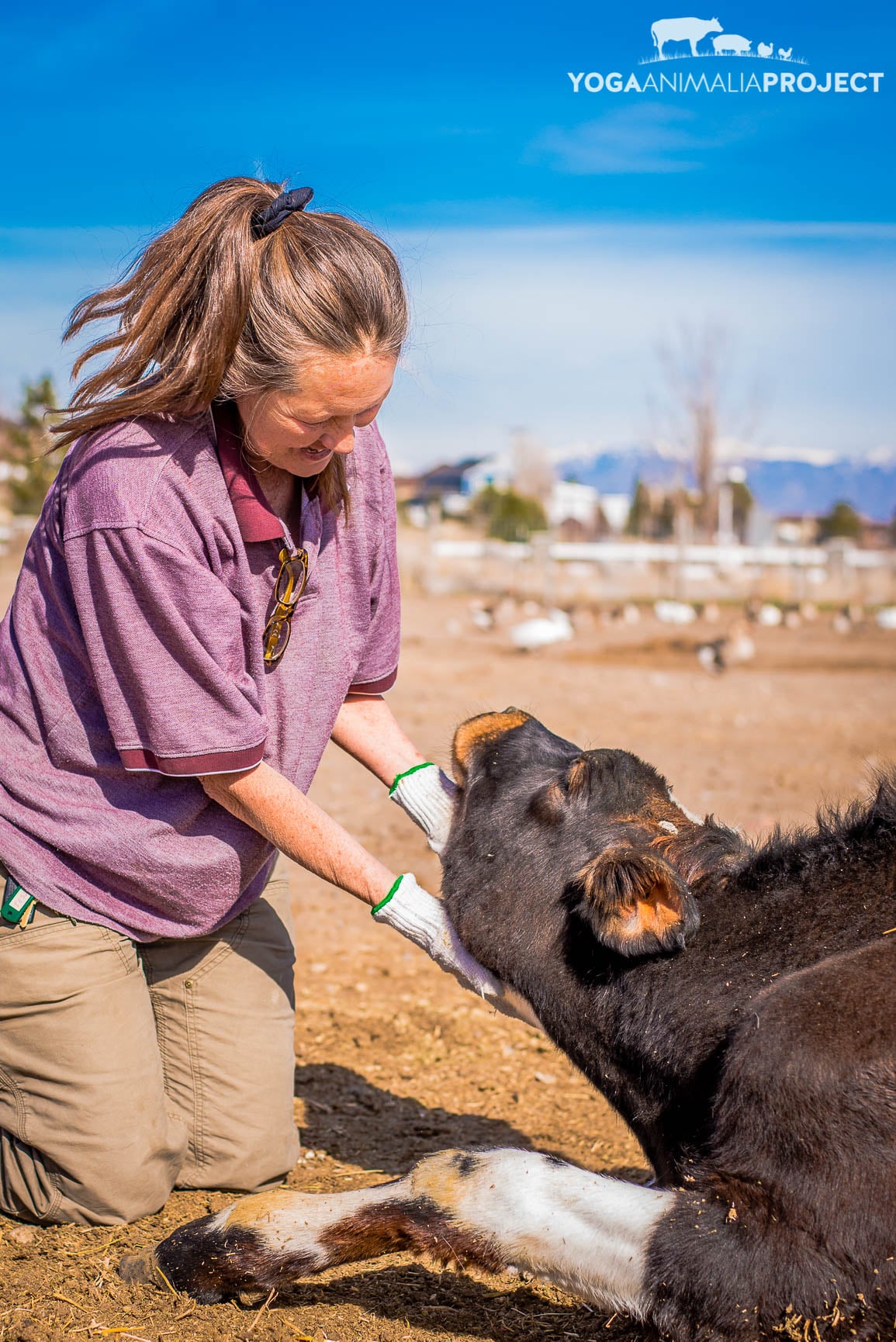 Sven & Sanctuary Founder Faith Ching, Ching Farm Rescue & Sanctuary, Herriman, Utah