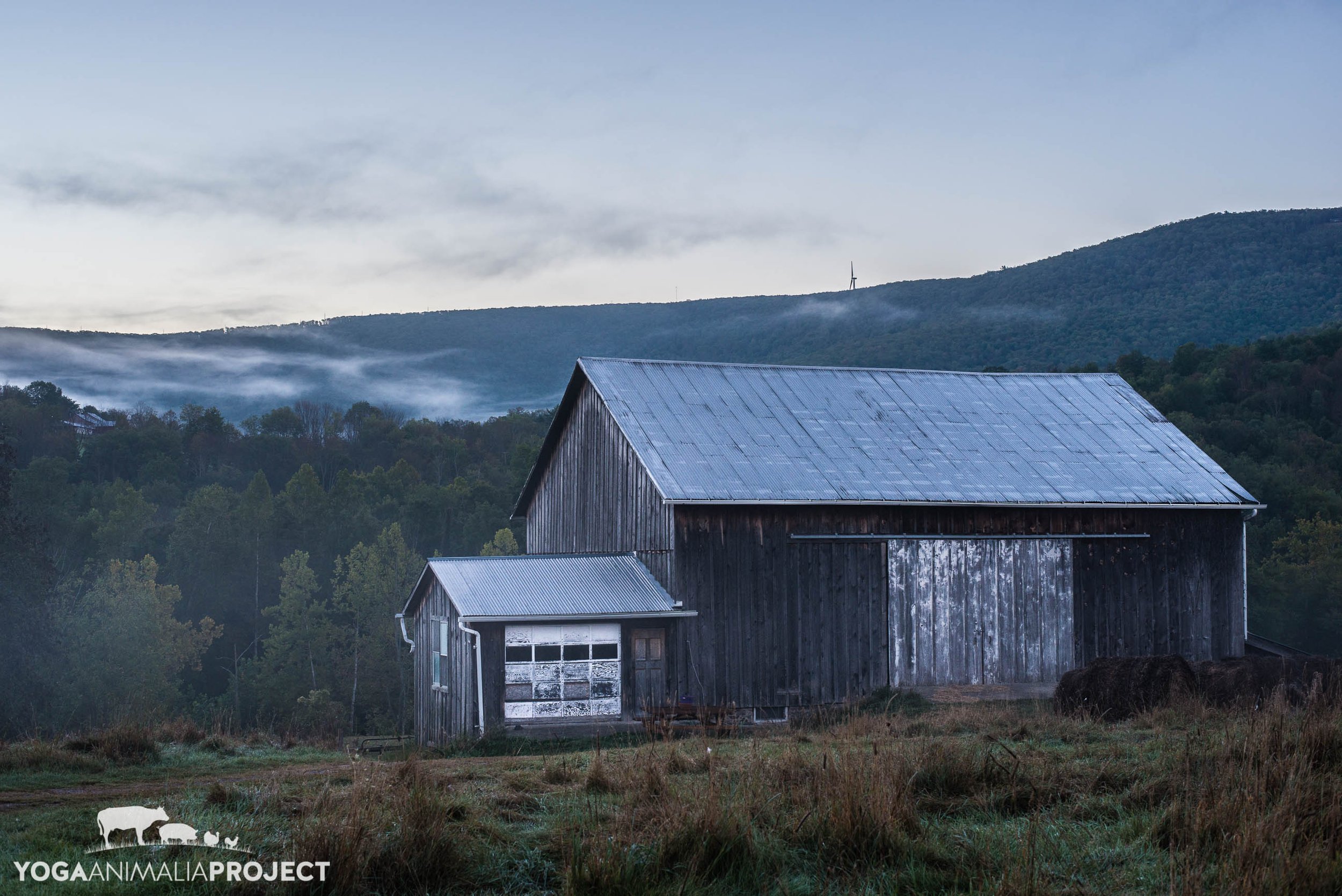 Indraloka Animal Sanctuary, Mehoopany, Pennsylvania