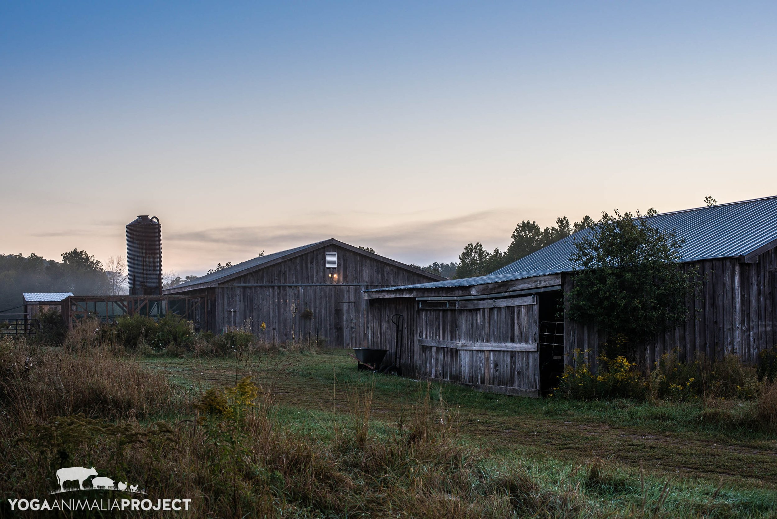 Indraloka Animal Sanctuary, Mehoopany, Pennsylvania