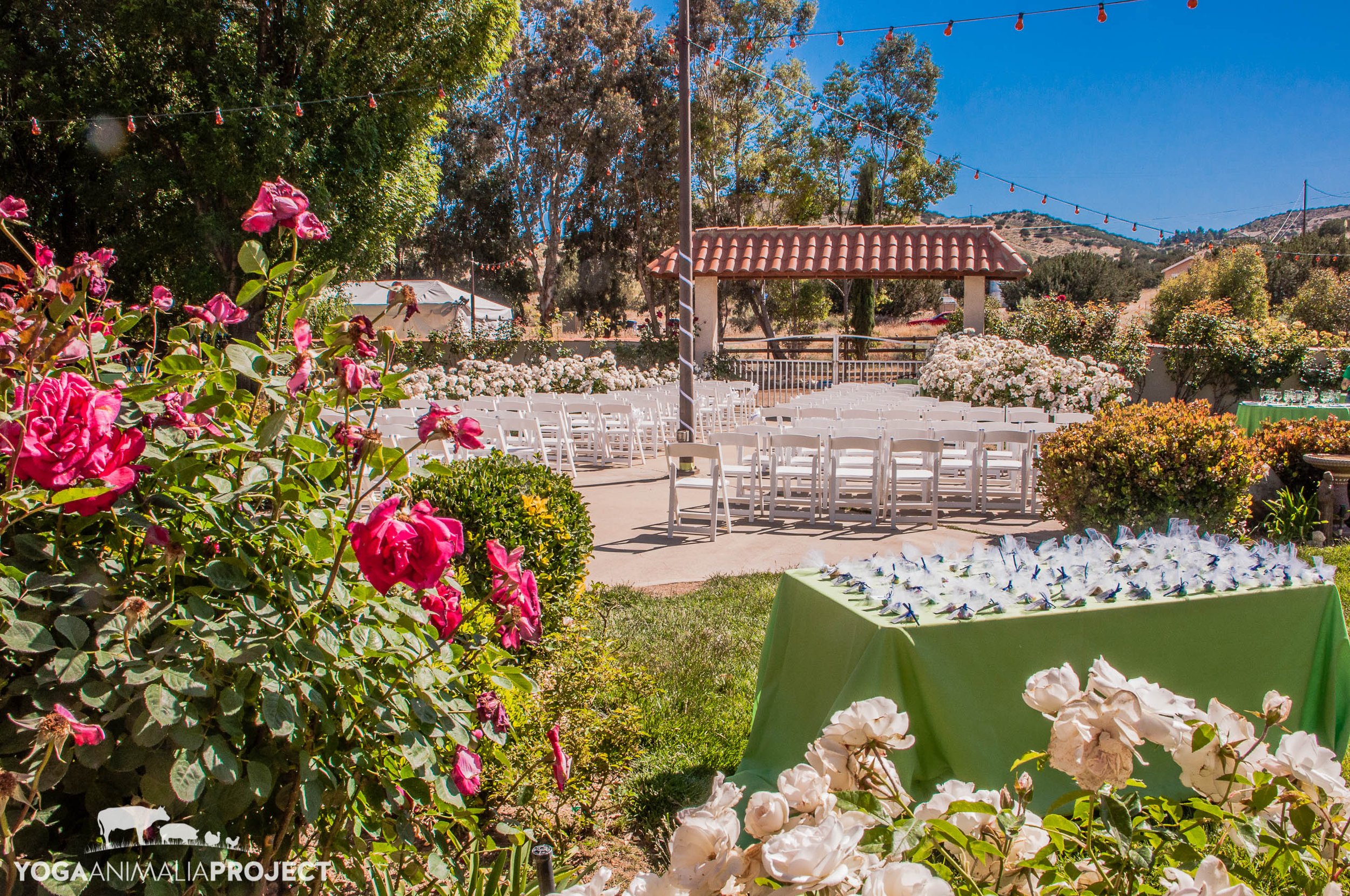 Animal Acres courtyard set up for a wedding