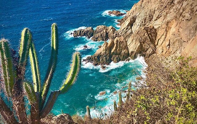 Last few hours before we leave this beautiful place 👋🌴🌵🌊🙌 #huatulco #oaxaca #mexico #theoblakadventure