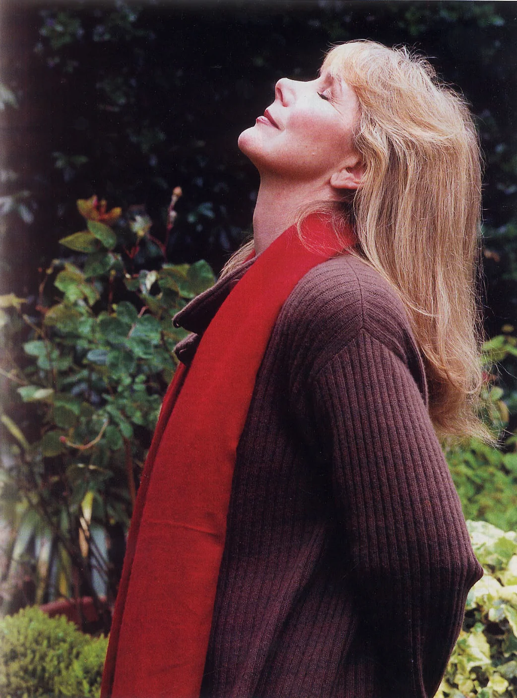 BBC-Suzan-Hampshire.jpg