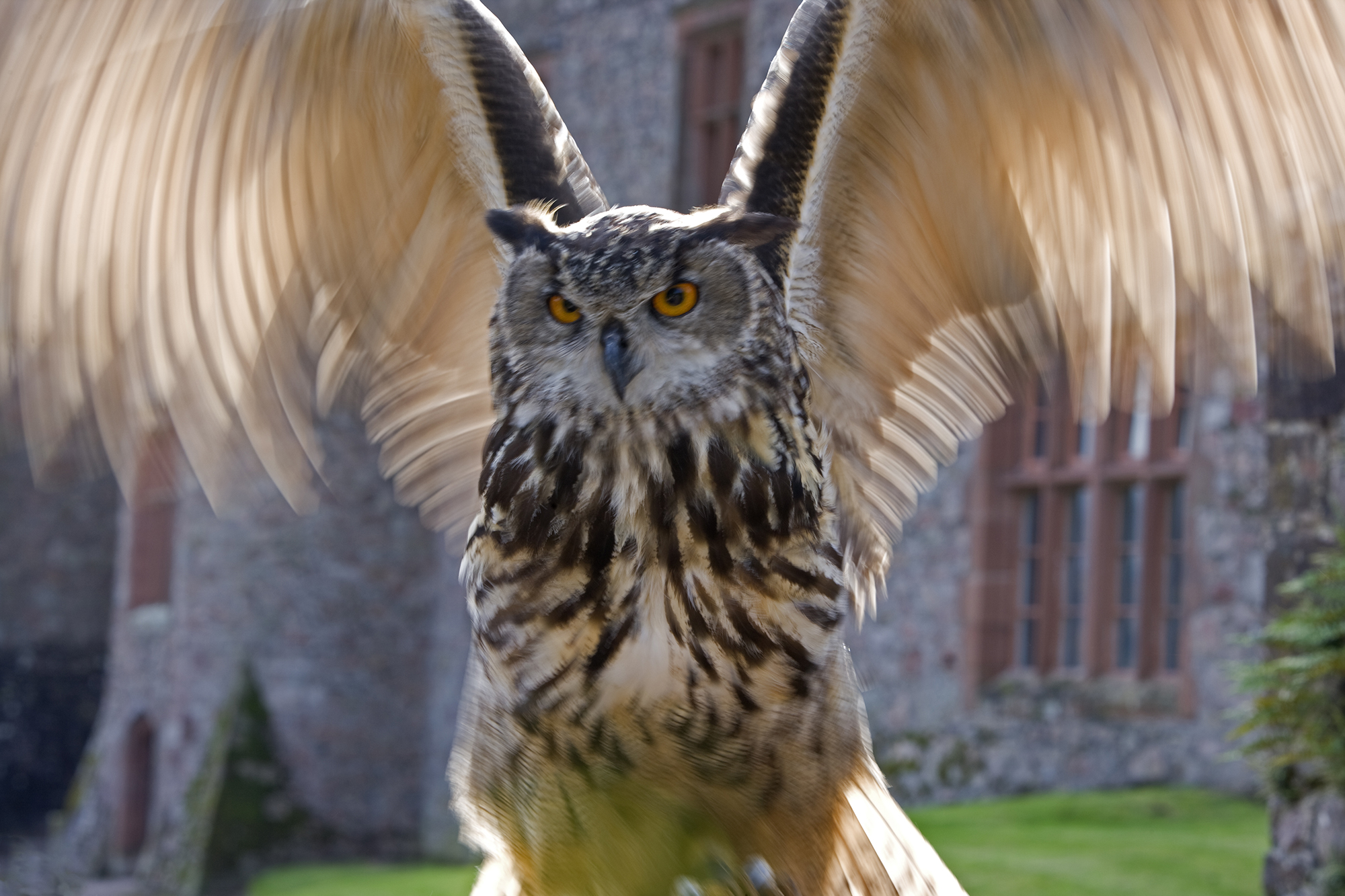 Muncaster Castle