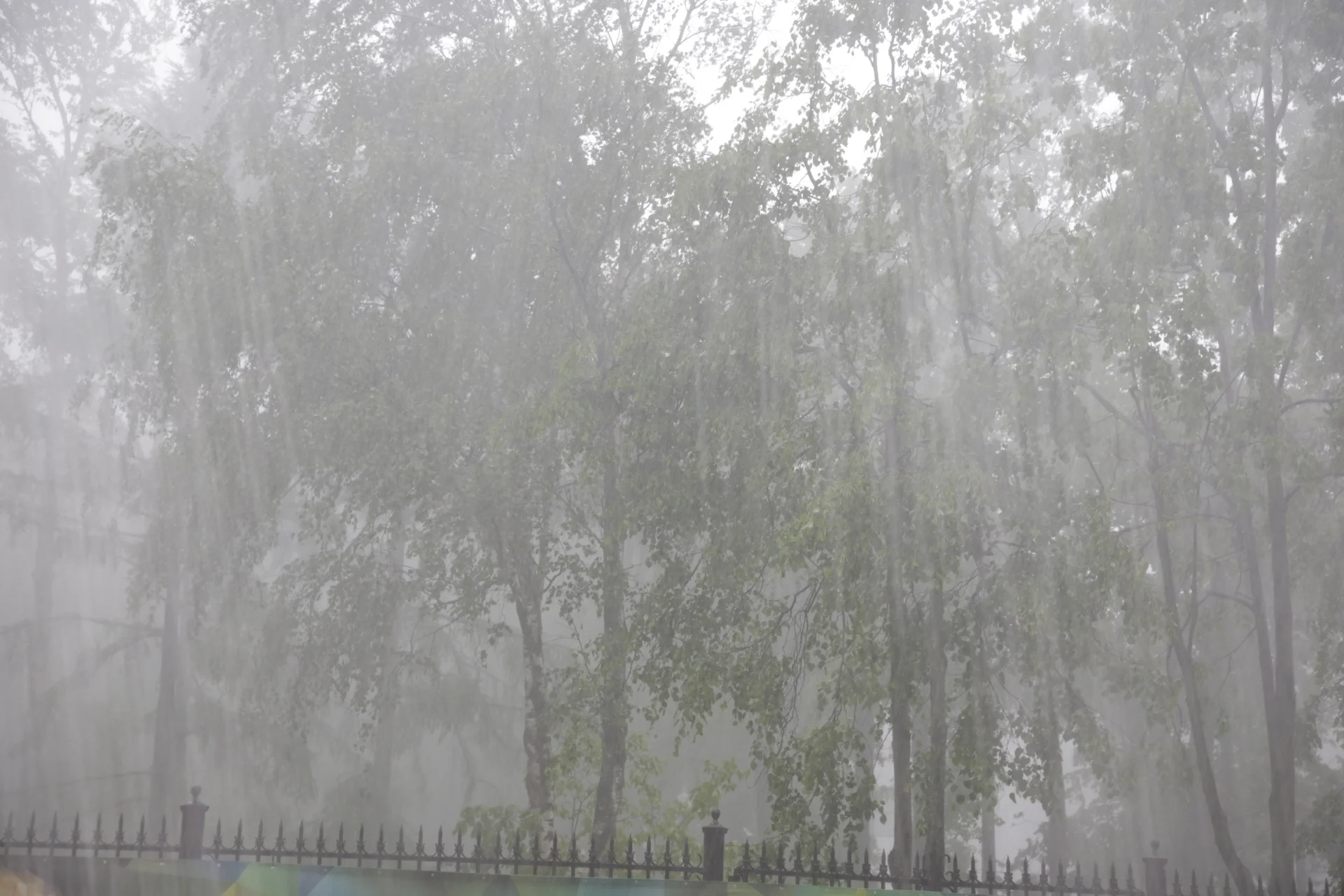 Estate of Tchaikovsky