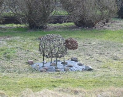 Strange sheep in an Iona garden