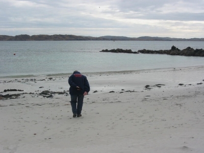 Time for a rake along the shore