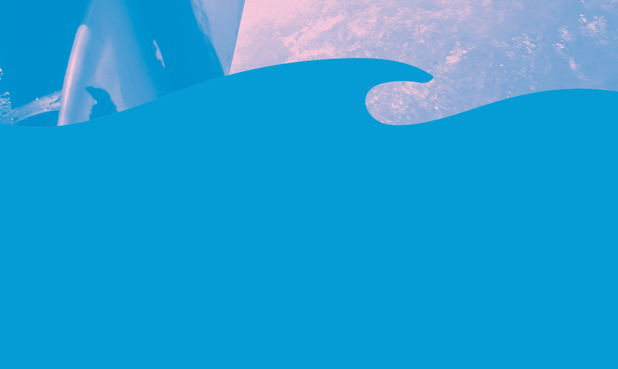 FfdW Header down.jpg