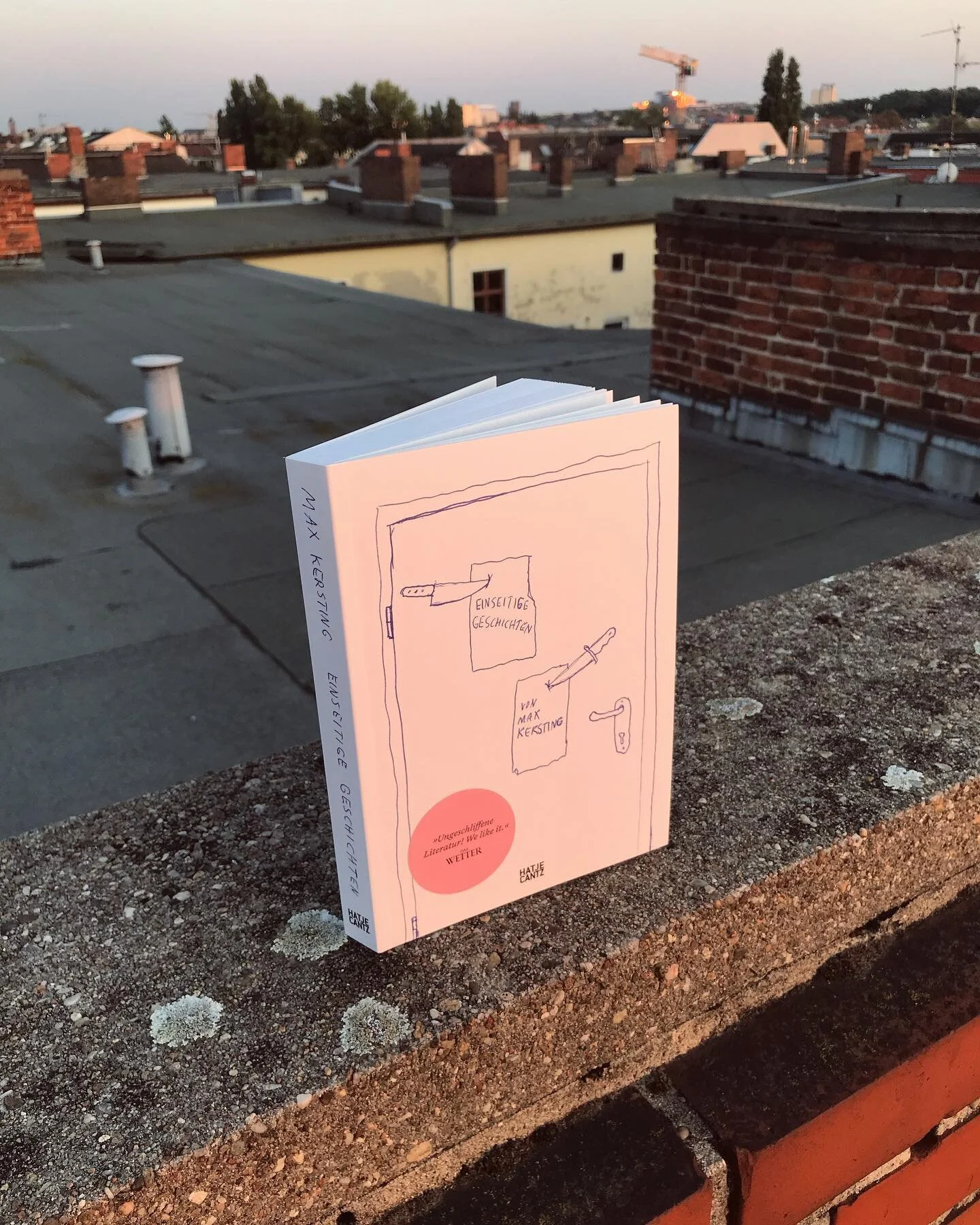 Staring at the sunset