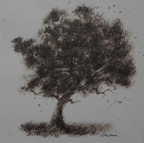 arbres 4.JPG