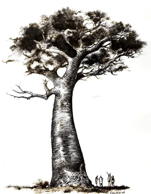 Baobab.jpg