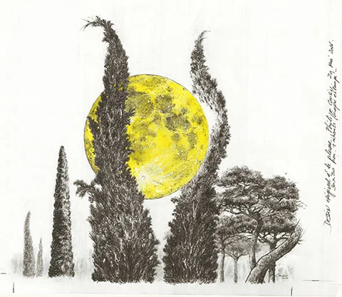 Pleine lune.jpg