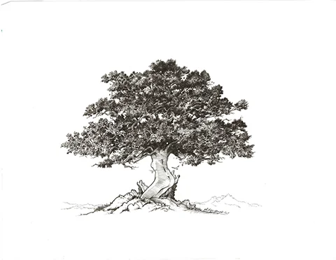 arbre clement F.jpg
