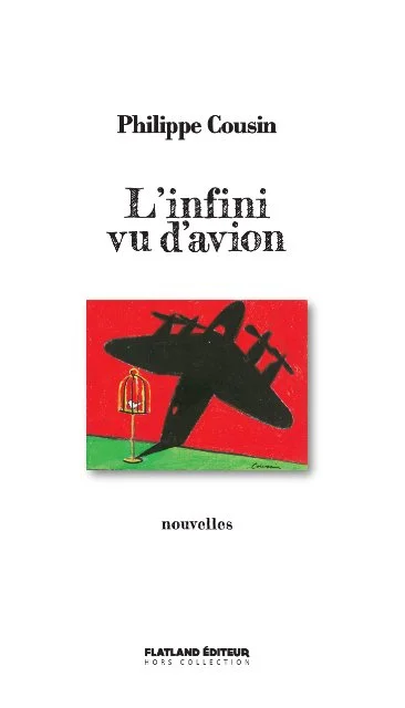 L'infini vu d'avion