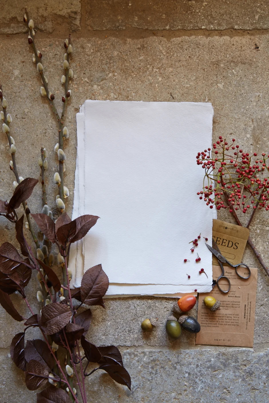 LA_AW14_IF_S01_HEDGEROW_008.jpg