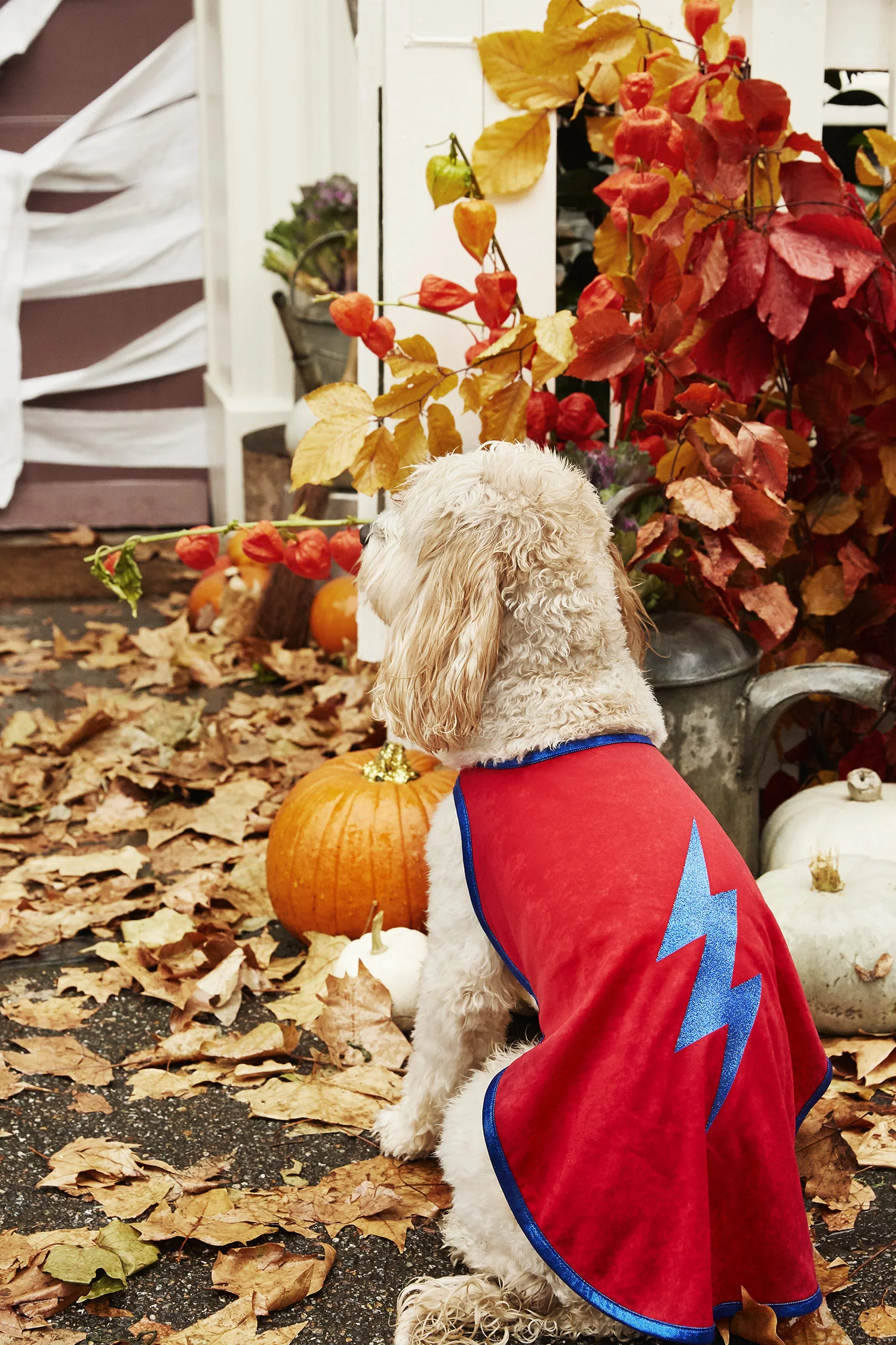 KW_2018_OCT_HALLOWEEN_018_ONLINE.jpg