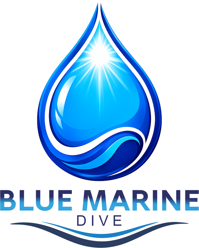 BLUE MARINE DIVE