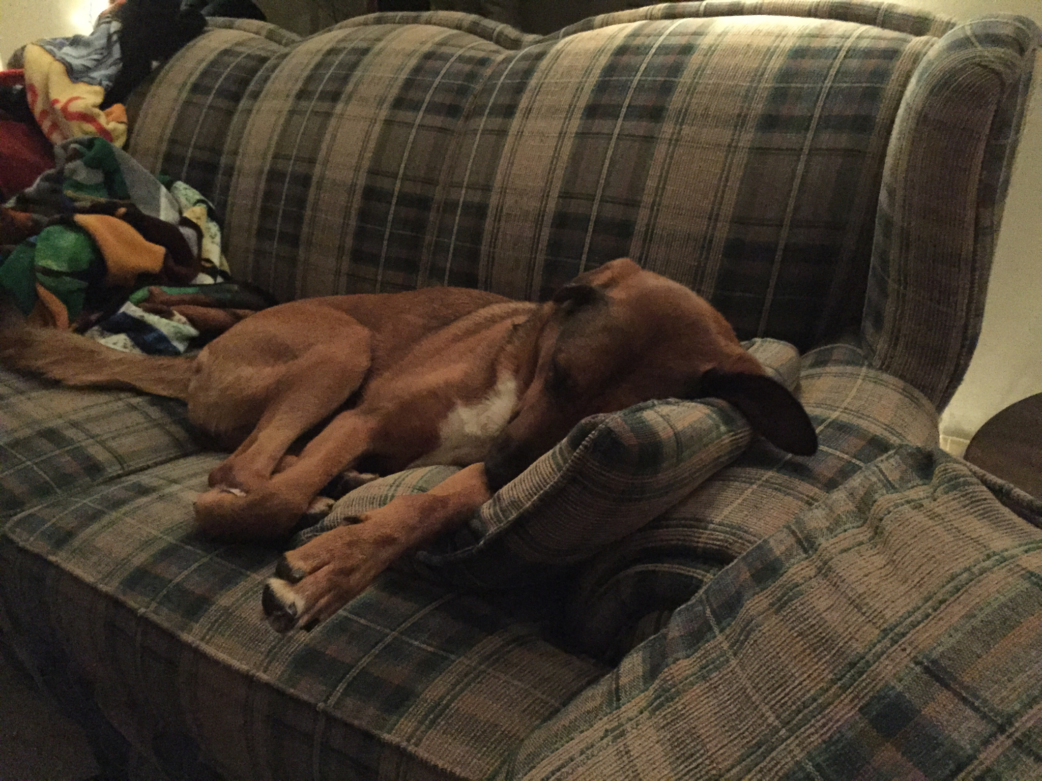 Yeah, yeah. Keep thinking she's all cute and innocent.