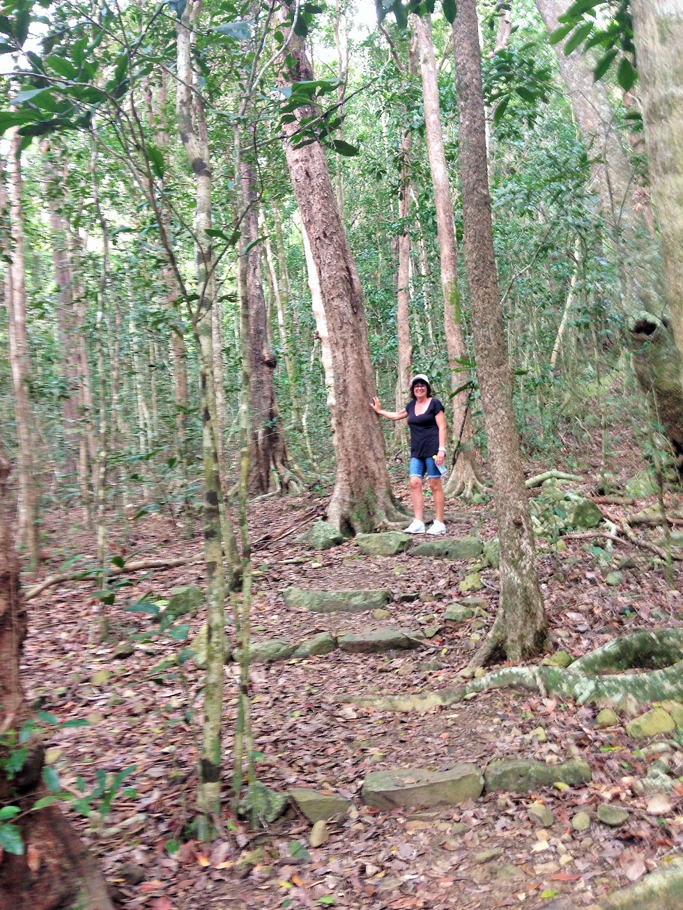 Deb Dugong Beach walk.JPG