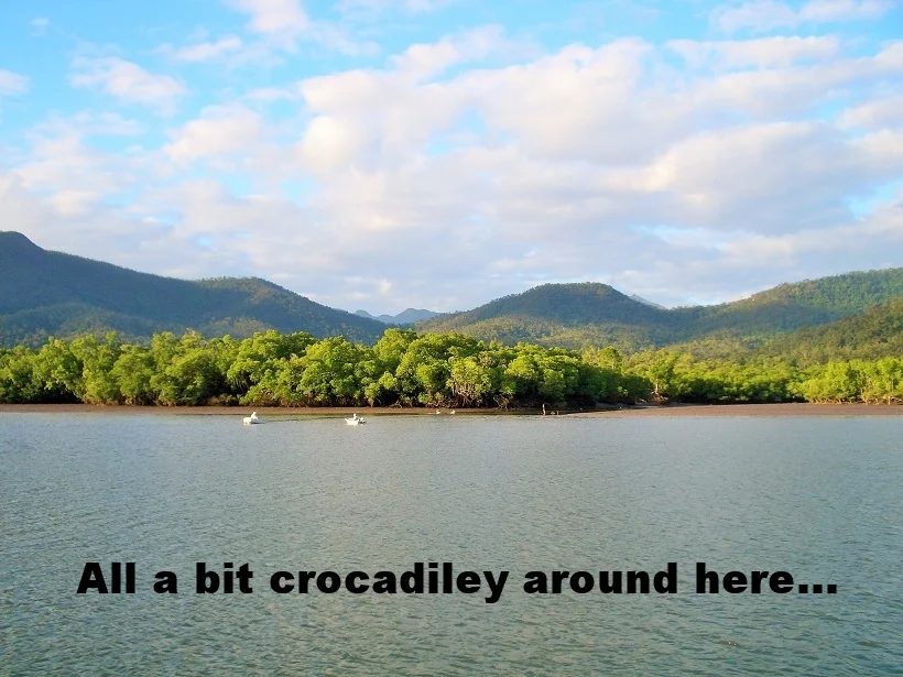 croc mangroves.JPG