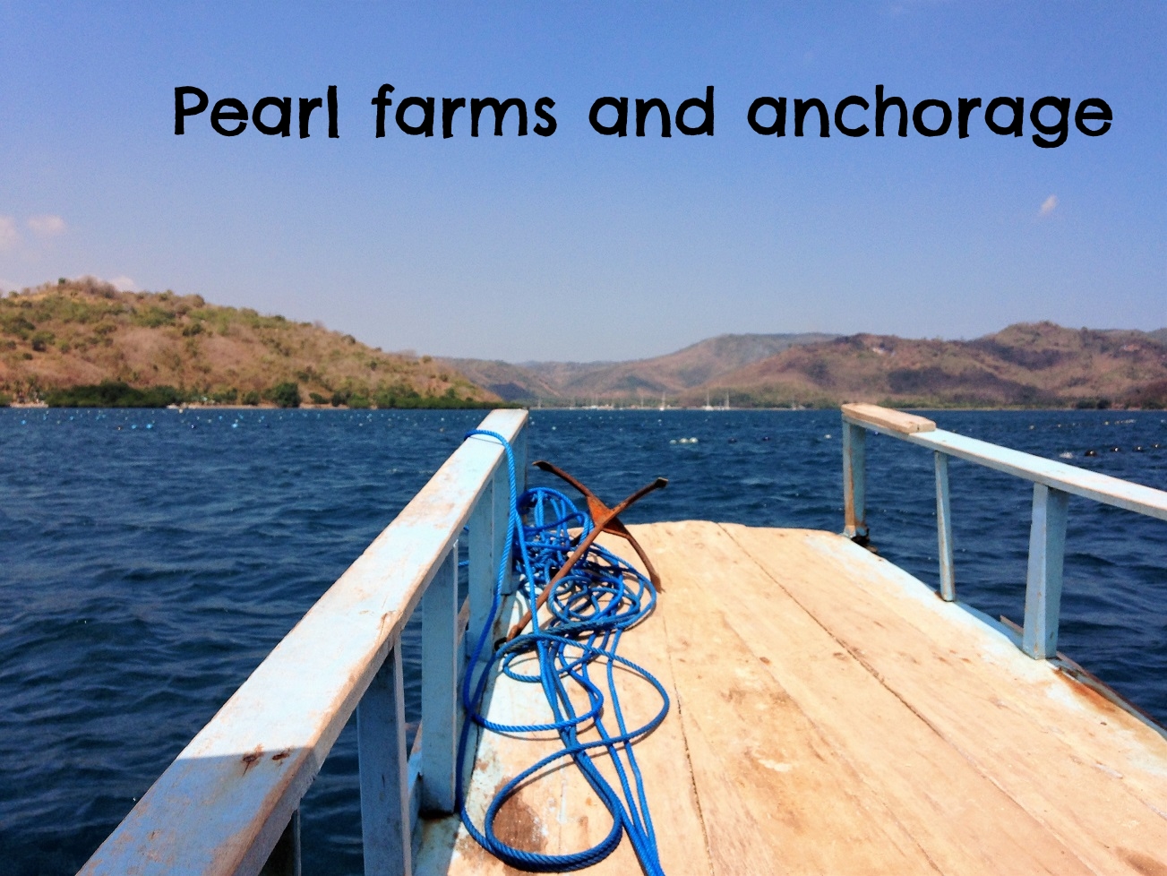 harbour and pearl farm.JPG