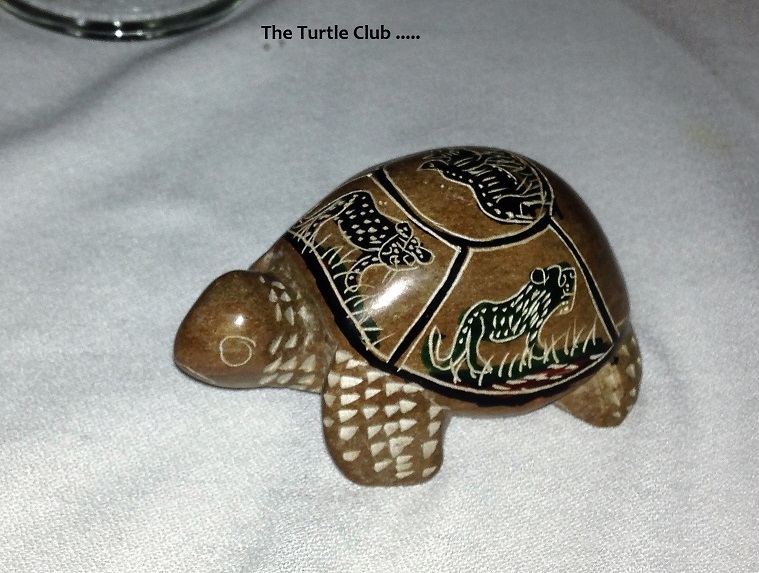 turtle.JPG