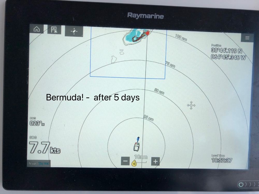 Bermuda Raymarine.jpg