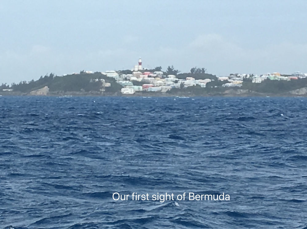 Bermuda first sight.jpg