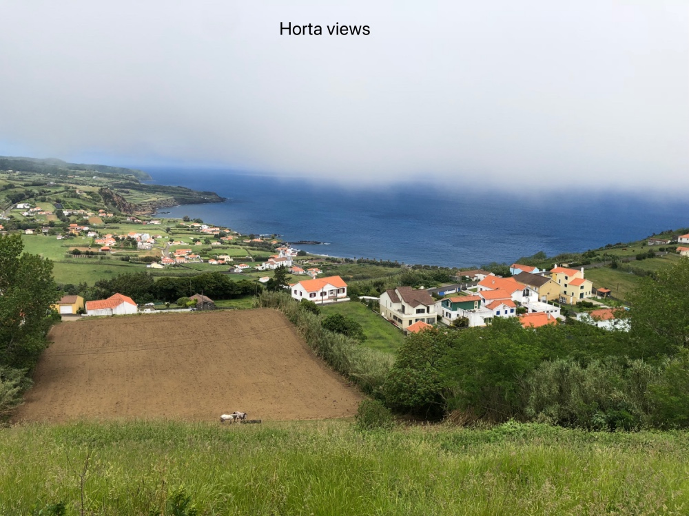 Horta views.jpg