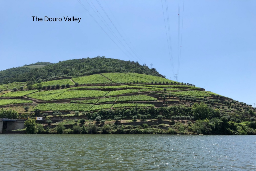 Douro Valley.jpg