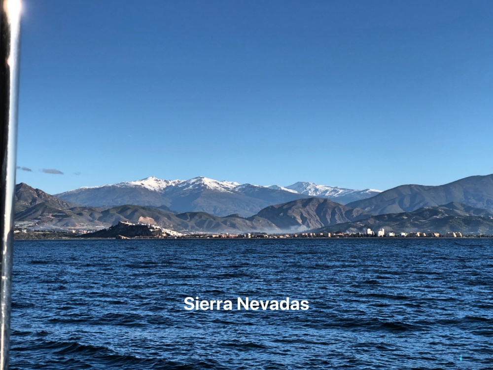 C Sierra Nevadas.jpg