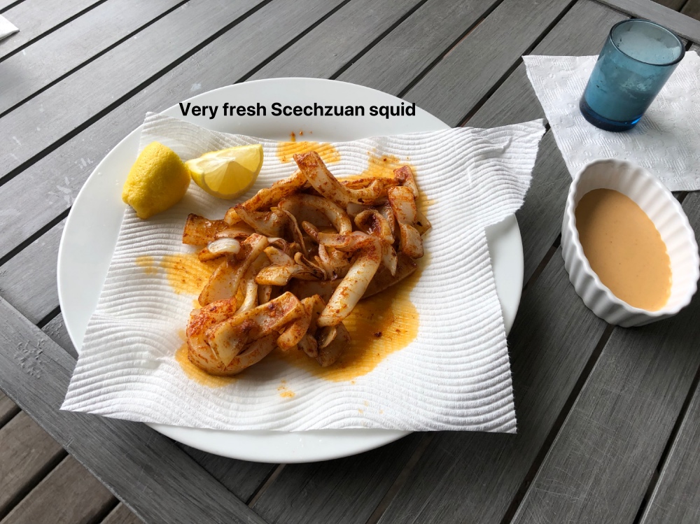 squid meal_Fotor.jpg