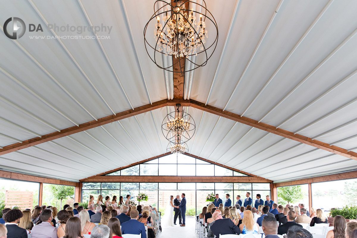 Whistle-Bear-Wedding-in-Cambridge.jpg