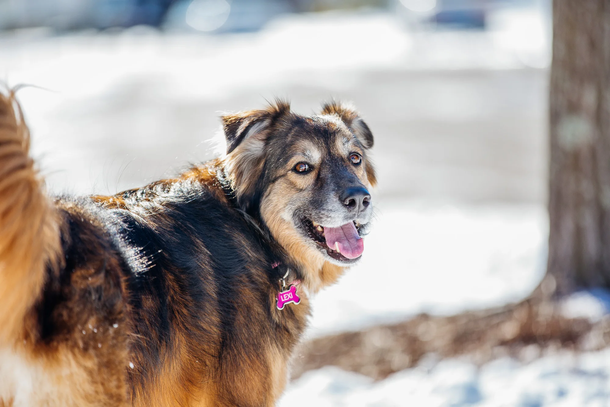 snow kids_20180108_009.jpg
