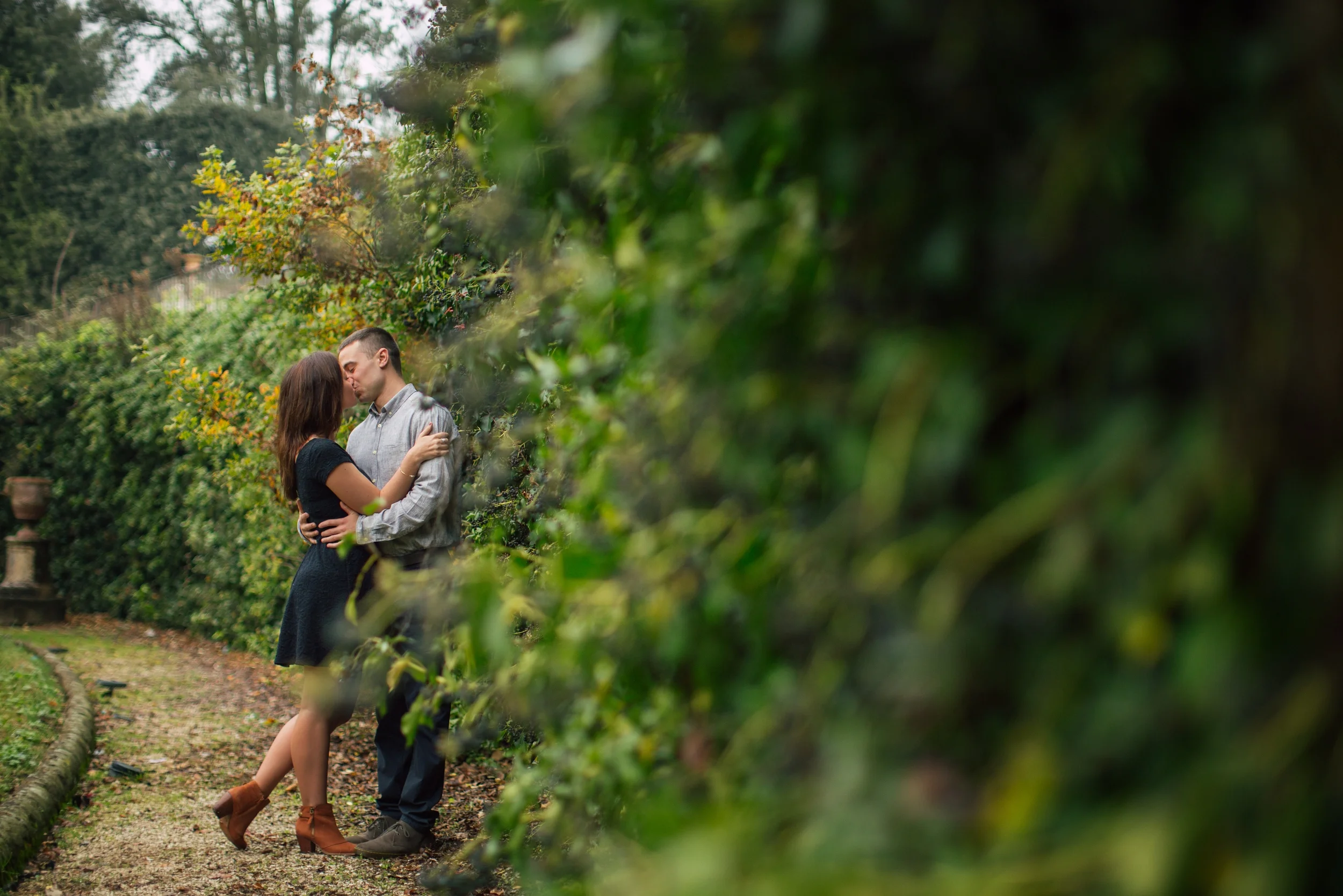 Dromerhauser.jpg