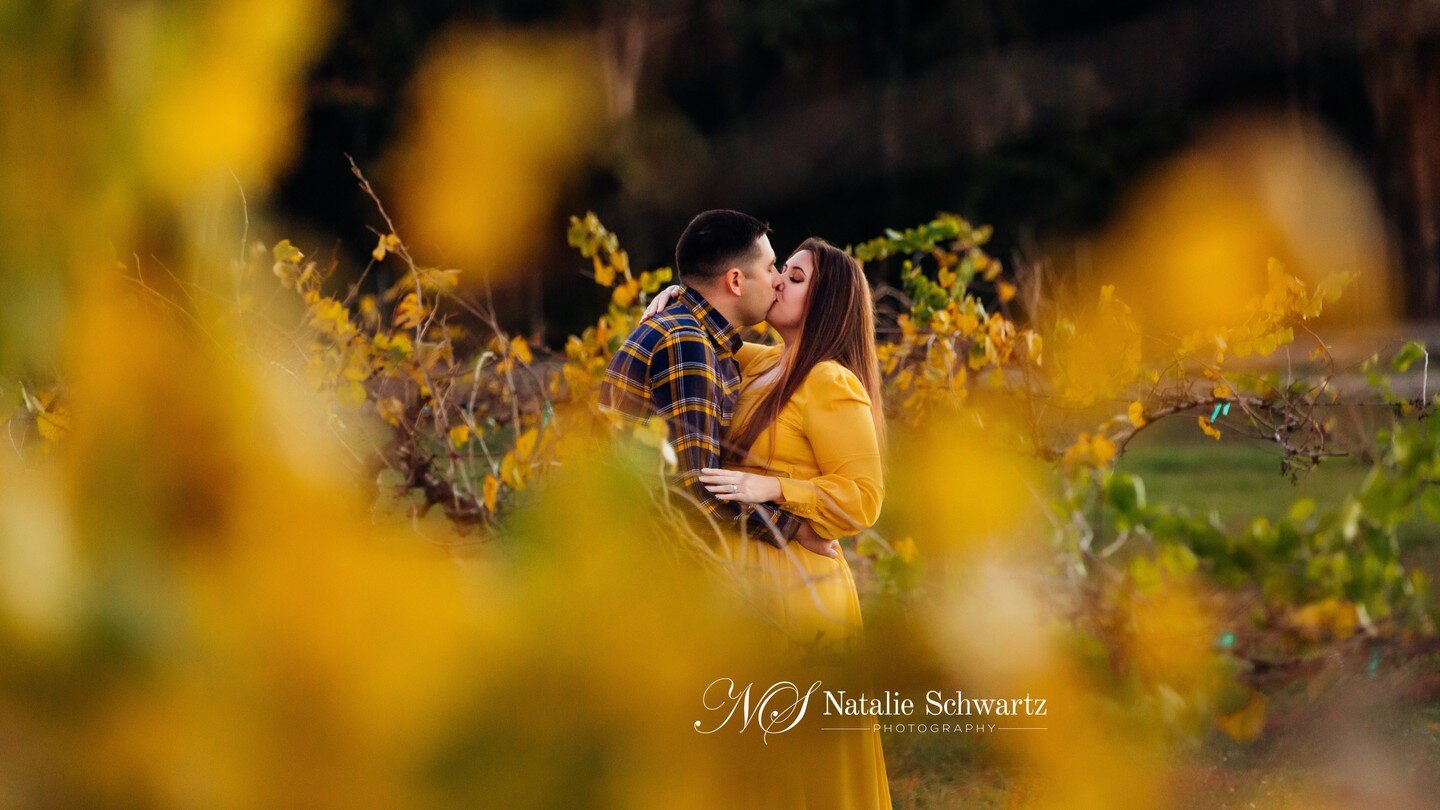 Tonight was simply perfect. They played with their babies, danced in the field and kissed between the grape vines. Sessions like these are why I do this &lt;3

#jacksonvillephotographer #fallfamilypictures #fallcolors #jacksonvillephotography #jaxpho