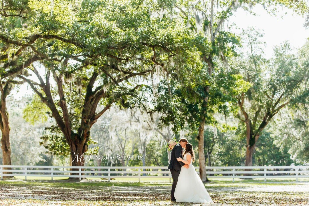 Sally and Hayden finally tied the knot ❤️ or as I like to call my new best friends, Sayden. 

#wedding #weddingphotography #weddingday #chandleroaksbarn #chandleroakswedding #chandleroaksbarnwedding #jacksonvillewedding #jacksonvilleweddingphotogaphe