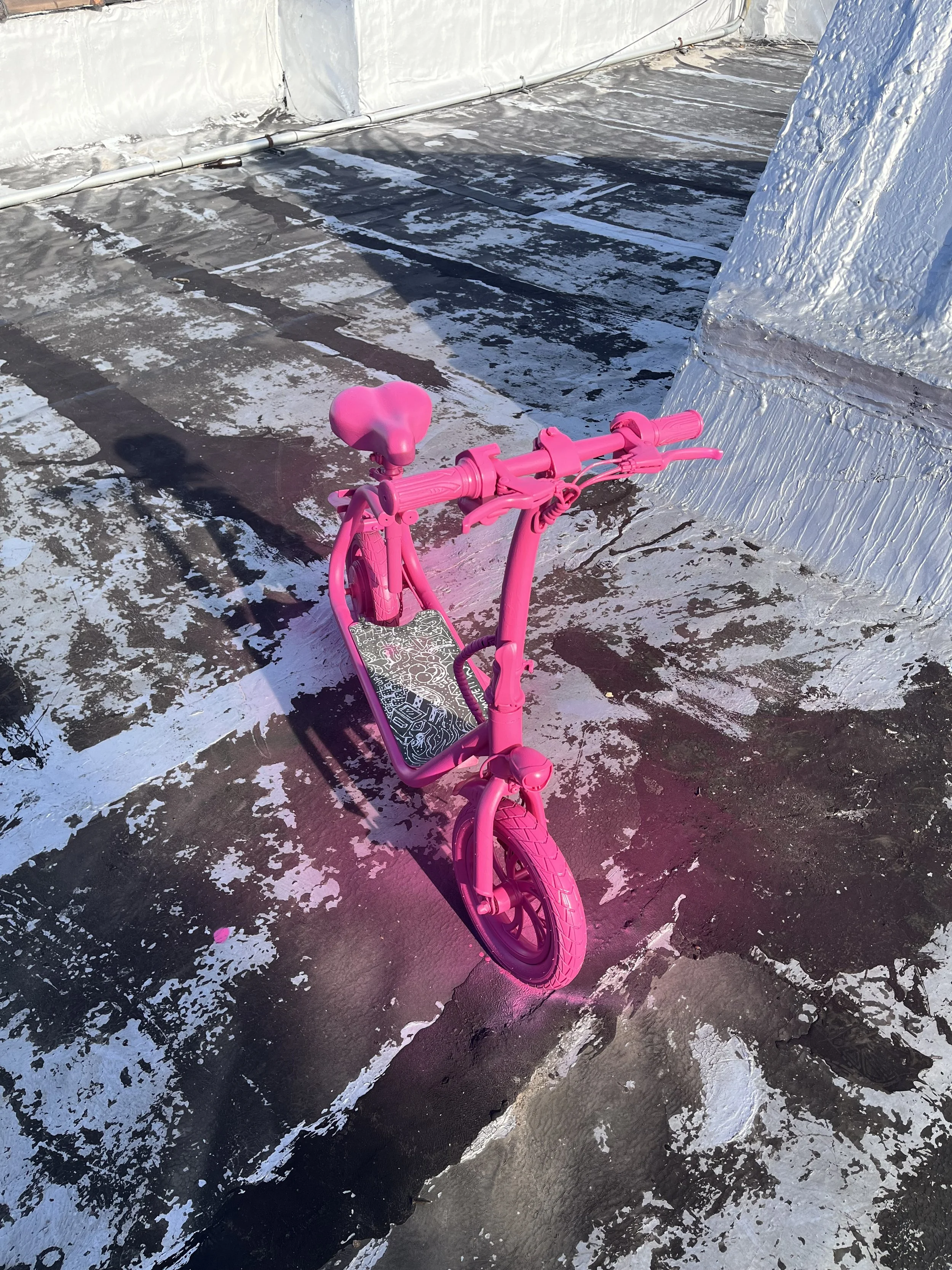 Photo Oct 22 2022, 3 22 46 PM.jpg (Copy)