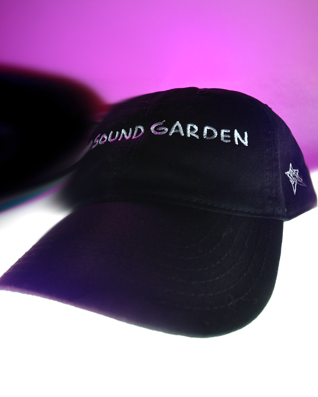 2LSD_SOUNDGARDENHAT_Vert.png