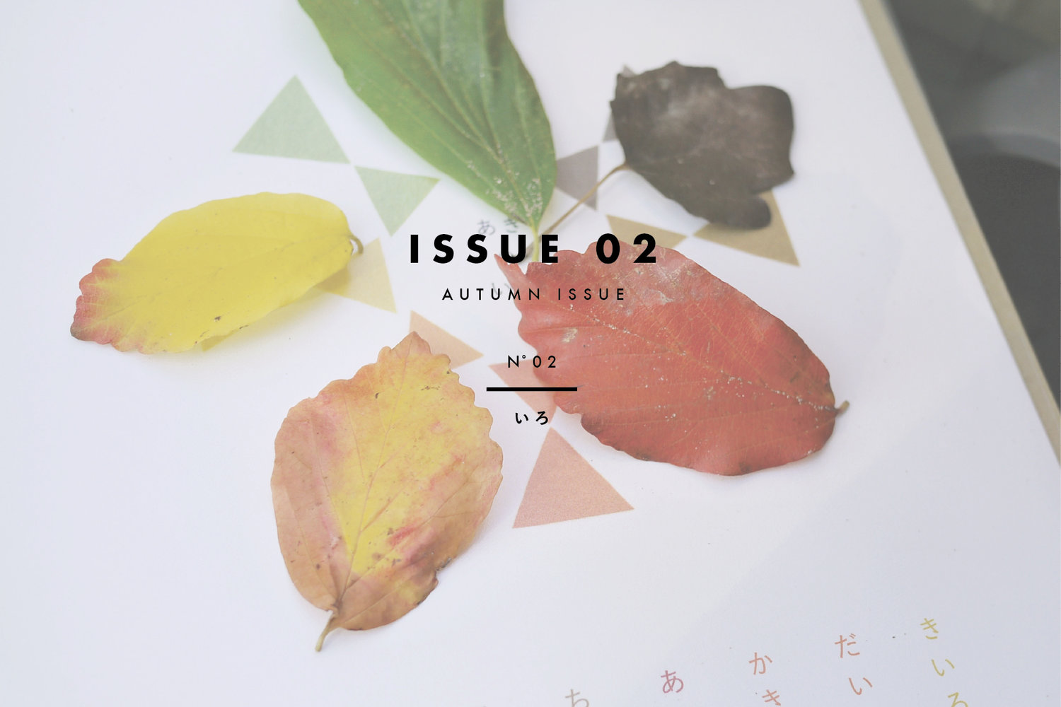 NP_HOME_issue02.jpg