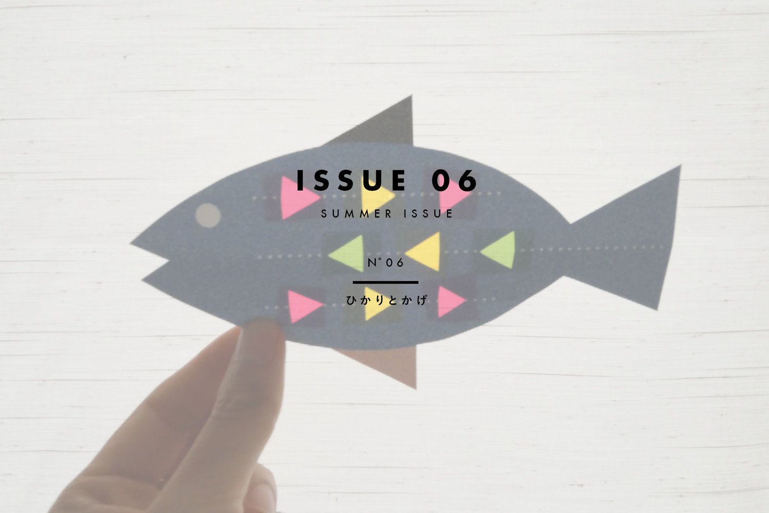 NP_HOME_issue06.jpg